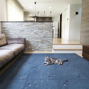 Es O^XNIKUKYU ^CO ĂĂ NV lCr[ y50×50cm^10Zbgzysz ʏi̓s