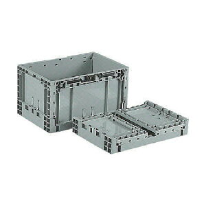 Es Ob TPO{bNX TPO[343 O[ SK-TPO343-GLL 1 ܂肽 Rei [ e IR ʏi̓s