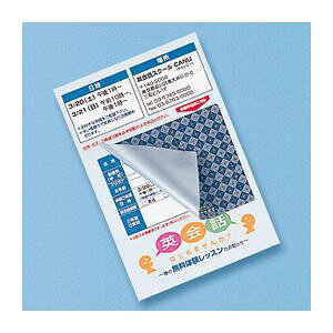 Es (܂Ƃ)TTvC \蒼łډBV[(2ʕt) JP-HKSEC11y×5Zbgz ʏi̓s