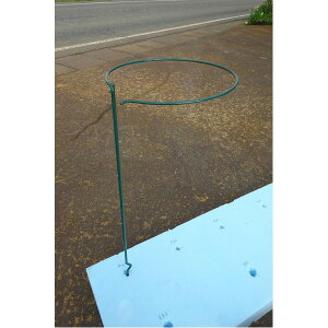 Es y4{gz v^[x ya15cm×80cmz X`[C[() { 172 Ԏxx k| K[fjOpil ʏi̓s