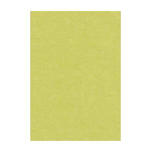 Es i܂Ƃ߁j ^ j[J[R c 271×c392mm 8NCR-106 Ȃ 100 y×2Zbgz ʏi̓s