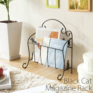 EsL}KWbN y36.5cmz X`[ t/y yizʏi̓s