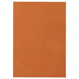 Esi܂Ƃ߁j TANOSEE Fp l Ⴂ 1pbNi10j y×15Zbgzʏi̓s