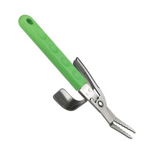 Es i܂Ƃ߁jWXe eRt jbp[ 811814y×5Zbgz ʏi̓s