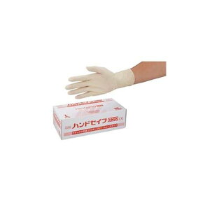 Es nhZCt܃O L 100 G06-L ĝĎ g ʏi̓s