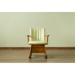 Es _CjO`FA 570mm i` It ؐt[ 璣n NEW LX^[t ] `FA rOysz ʏi̓s