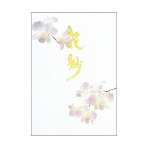 Es i܂Ƃ߁j AsJ  Z301 Ԗ Z~B5 40y×10Zbgz ʏi̓s