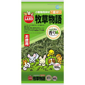 Es (܂Ƃ߁jq900g(n[u)iybgpijy×10Zbgzysz ʏi̓s