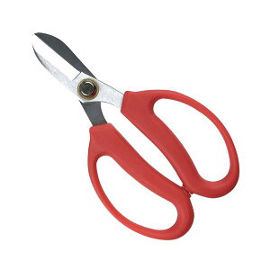 Es i܂Ƃ߁jWXe g₷A؃oT~  165mm 811813y×5Zbgz ʏi̓s