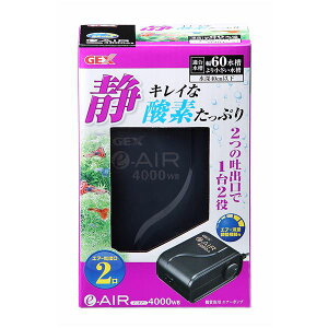 �����E����s�� �i�܂Ƃ߁je�]AIR 4000WB�y×5�Z�b�g�z�y����s�z �ʏ��i�̓��������s��