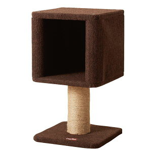 Es i܂Ƃ߁j_[ RpNgɂ{bNX iybgpijy×2Zbgz ʏi̓s