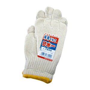 Es { ȓ R 10_[Xi120oj ʏi̓s