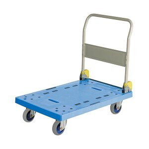 Es q  NP-301BL ʏi̓s