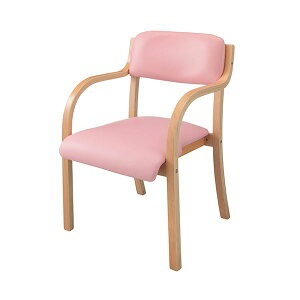 Es z[X^CO X^bLO`FA[ J[ rj[U[ sN SCC-PK-NA 1rygiz ʏi̓s