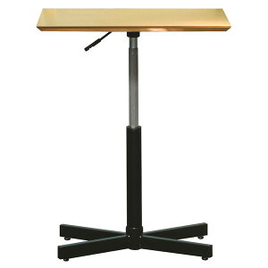 Es ~TChe[u yi`×ubNz 60cm { ؐ X`[pCv ω׏d30kg ysz ʏi̓s