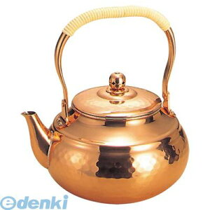 755200 �� �Ɩړ� �j���[�^�C�v �P�b�g�� SC�|2009 2L 4518160001707