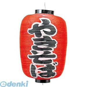 y12/5IIōő100|CgobNz3745300 rj[ 255 ₫ 12 4548046002436