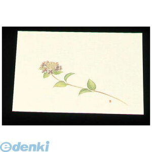 7960000 ڎO ΂܂ N[i100jWSS|6 i5`6j 4560164139467