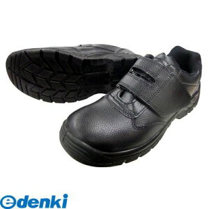 xm܍H FUJITE 4907534202077 9966 ZtCgZC }WbN  26D5cm