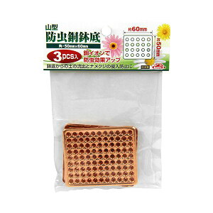 y12/5IIōő100|CgobNz4977292639675 ZteB|3 h p 60mmX50mm Y hp lbg |pi ~͗pi | 