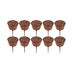 y12/5IIōő100|CgobNz4977292665353 ZteB|3 엿e  Wt 10PCS 엿eWt Y |pi ~͗pi |