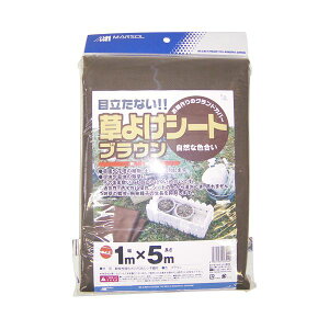 4989156023049 {}^C 悯V[g uE 1MX5M 悯V[guE âƂꂽuEF hV[g _Ǝ 쎑 }\ 핢