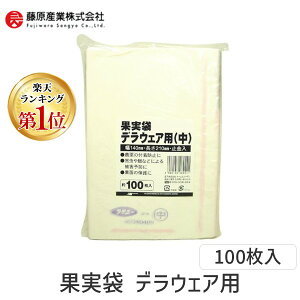 4989156082541 日本マタイ 果実袋 100枚入 デラウェアヨウ デラウェア用 MATAI マルソル 果樹資材 農業資材 止金入