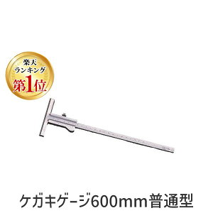 4580278972057 MATUIy䐸HƁz PKLQ[W600mmʌ^ K|60