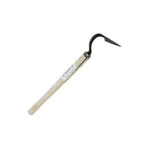 4969968384460 R e P[Xt