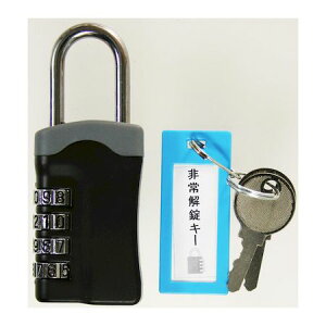 aCY 4903757286252 IB|113 L[tϏ 4i WAKI L[tϏ L[tϏ 