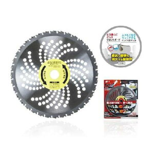 ŃMl 4989586170665 `bv\[ { 255x36P TN|255