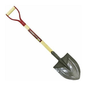 i 4939736702529 ؕXRbv ⋭at y