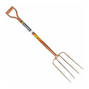 JlR 4989921937816 122205 yʂ炭炭4{tH[N