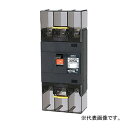 翌日出荷 テンパール工業 B-223EA 200A 配線用遮断器 B223EA200A