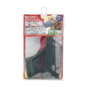 A[XEybg 4975023652382  6 ^[L[ A[Xybg earth ^p }Y ݕ 