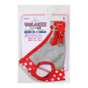 A[XEybg 4975023683713 HD|JhbgxXg 2S 