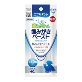 アース・ペット 4994527888905 エブリデント 歯みがきペースト 40g ミルクミント風味 40gデンタルケア用品 歯みがきくん earth アースペット ペット用品 お手入れ