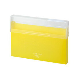 翌日出荷 リヒトラブ LIHIT LAB. A6024-5 コングレスケース　A4　イエロー A60245 FIZZ CUBE ゴングレスケース