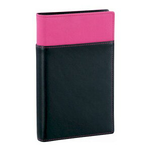 CC WBF100P y2z tBt@C  sN