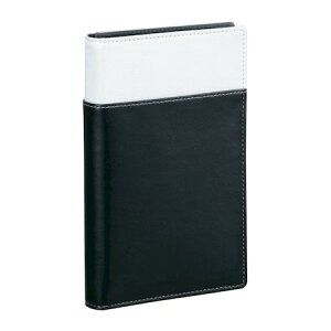 CC WBF100W y2z tBt@C  zCg