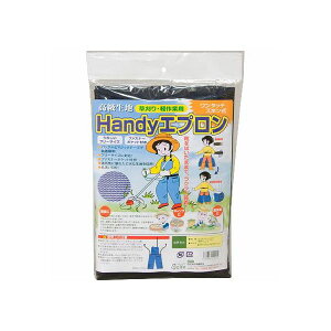 4560346900915 ֓Q pHandyGv t[TCY ubN