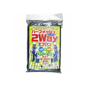 y12/5IIōő100|CgobNz4560454971050 ֓Q 2WAYGv