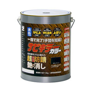 y11/10IIōő100|CgobNzBAN-ZI 4562375772471 hKh TrL[J[ 4kg 