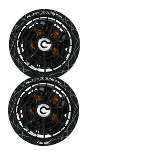 ���M�W���p�� GB-POWER GP980XBK 30V�y���`�F�t�@�� �� 2��