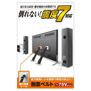 GR ELECOM TS-002N2 ϐkxgySV[^CvzTS002N2 ͔SV[^Cv TVpϐkxg er GRϐkxg