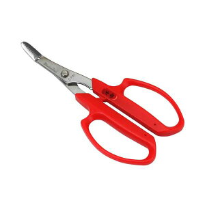 yyVLO1ʊlz4977292620406 18  4977292620406 g  Y 荪 | G  SENKICHI  G 抙  |pi 