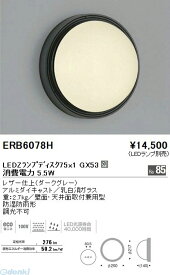 遠藤照明 ENDO ERB6078H アウトドアブラケット／防雨形／Disk100
