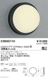 遠藤照明 ENDO ERB6077H アウトドアブラケット／防雨形／Disk75