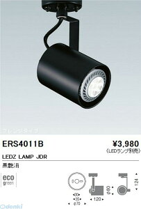 (LINEN[|L)Ɩ ENDO ERS4011B ES|8557B X|bgCg tW