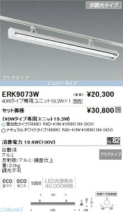 遠藤照明 ENDO ERK9073W スポットライトプラグ TUBE40W×1灯